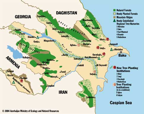 Reforestation Map