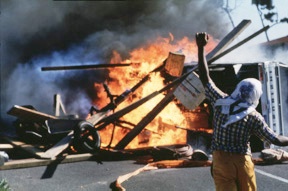 Reza - Riots South Africa